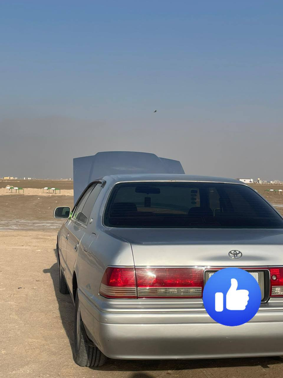 راس الثور
السلام عليكم ورحمة الله وبركاتة 

راس الثور كفاله كص وضربه وصبغ كير مكينه حداديه تبريد كله جديد غرفتها جديده بسمي رقم انكليزي مكينه ام الكلاص البصره ابو الخصيب ***********
