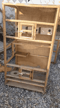 السلام عليكم اقفاص الطيور للبيع
العدد 3 الكبير ب60 ألف والوسط ب30 والصغير ب20 العنوان بعقوبة قرب تقاطع القدس 
***********
