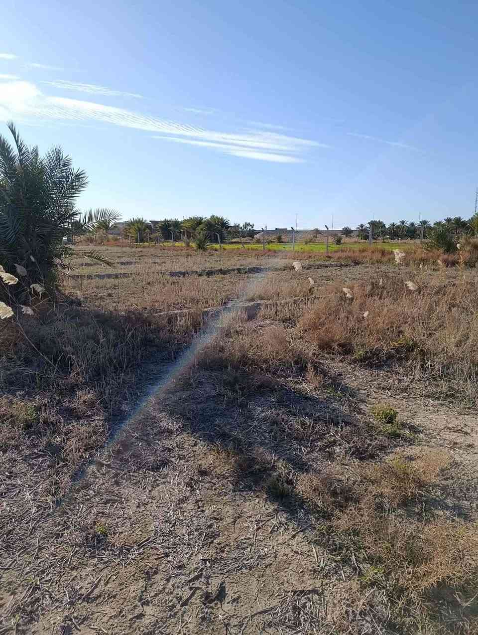 3 دونم طابو زراعي سند 25 ثاني يوم افتحلك بيان بل طابو مسيجه بيارسي صالحه الزراعه وسكن ماء اساله وكهرباء ومي سقي متوفر مدرسه قرب الارض تبعد عن شارع حله بغداد 300 متر.عن الجسر الفاصل بين الحله والمحاويل.***********.سعر الدونم 65.
