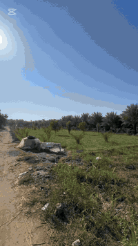 ✅ اعلان رقم ( 194 )
السلام عليكم نصف دونم طابو زراعي سند 25 تحويل مباشر
يصلح مزرعه بستان شاليه الواجهه 60 متر نزال 30 متر
الموقع بغداد الراشدية قرب البحيره للاستفسار اكثر***********
