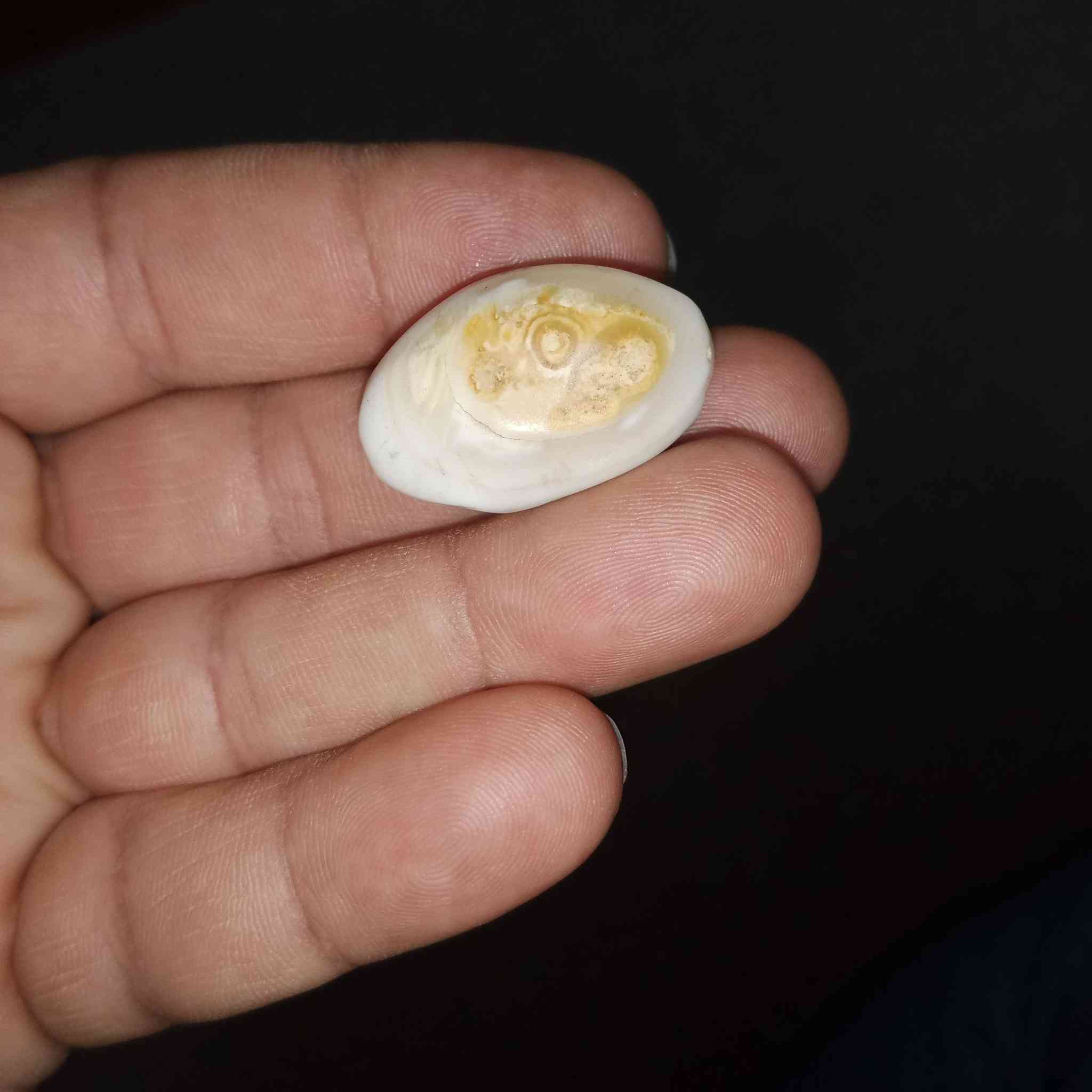 للبيع نوادر ***********
