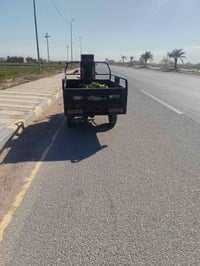 ستوته • موديل ٢٠١٦ • النجف