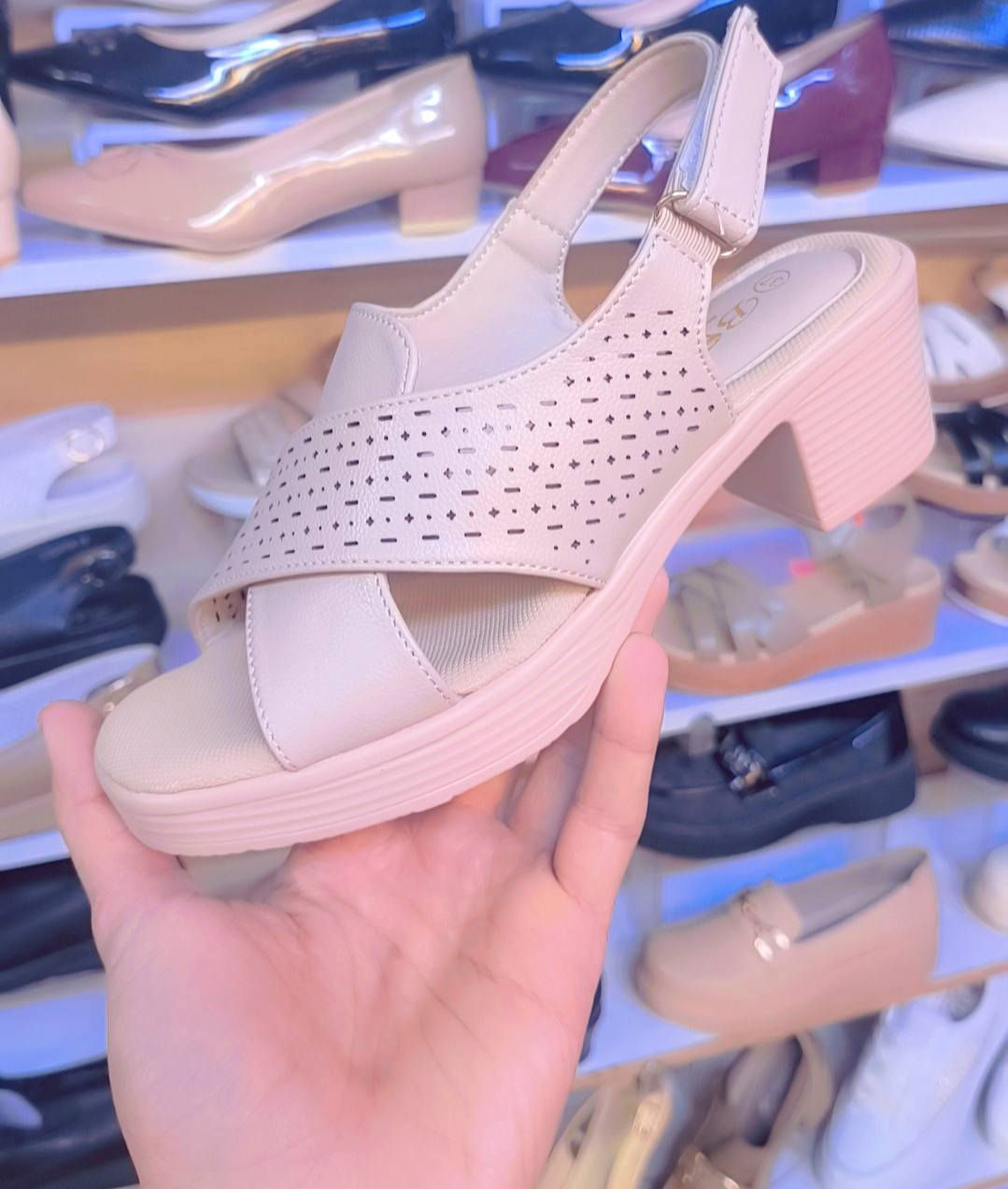 بفضل الله تم وصول بضاعتنا الجديدة  

الاناقة 🔥 الجودة 🔥 المتانة 🔥 الجمال 🔥 لها عنوان     

         👇👇👇
معرض بيوتي شوز.  للأحذية والحقائب النسائية
يوفر لكم كل ماهو جديد

صندل طبي جديد 😍😍

العنوان ديوانية سوق التجار شارع باتا

للأستفسار أكثر مراجعة الصفحة خاص.
أهلا وسهلا بكم،

#أدخلو_للصفحة_وشوفو_باقي_الموديلات🔥


**إذا كنت صاحب هذا الإعلان وتريد حذفه لأي سبب، رجاءا أرسل رسالة إلى الدعم الفني**