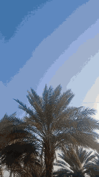 السلام عليكم
2009 كفاله عامه كير مكينه حداديه تبريد تخم تاير بدي كله كفاله مكانها بابل السعر ١٣٥ وبيها مجال مكلف بالنشر 
رقم صاحبها ***********
