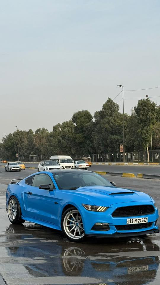 فورد موستنك للبيع 2017
اللون مميز أزرق بحري 💙
الفئة V6 (ستة سلندر)
رقم بغداد (رقم و سنوية جديدة)

-  ماشية 65mile
- السيارة جديدة كاملة وبدون نقص
- منظومة أكزوزت روش كاملة
- درگـة كاربون فايبر rpm 
- شوتة K&N أصلية
- حلوك كورسا أصلية
- سبايدر كاربون فايبر أصل
- سقف روز رايز
- عليها دبات بورلا اصلي
- محرك وكير وأكسل بشرط 
- فول تحكمات ستيرن
- كامره دوارة
- تشغيل عن بعد
- بلاجكتور بلاد
- بگ لايت ٢٠٢٣ 
- ويالة فيرادا اصلي
- لحية سيرفيني 
- دعامية خلفية GT
- سبايدر 
- ٤ صالنصات
- دفيوزر شيلبي
- هـود بنيد

🔵 حادث السياره فقط باب بجم كبس شاصي لغد مكفول و صورة الحادثة موجودة بالمنشور.

 🔵 السيارة نظيفة حيل و متعوب عليها و مصروف عليها هواية ، الدهن بس أصلي و البانزين بس محسن.

🔵 مكان السيارة بغداد 
السيارة بأسمي بشرط التحويل.

للاستفسار أتصال أو واتساب
***********
