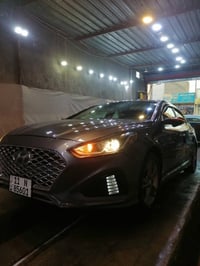 سوناتا ٢٠١٩ • وارد أمريكي • مصبوغ