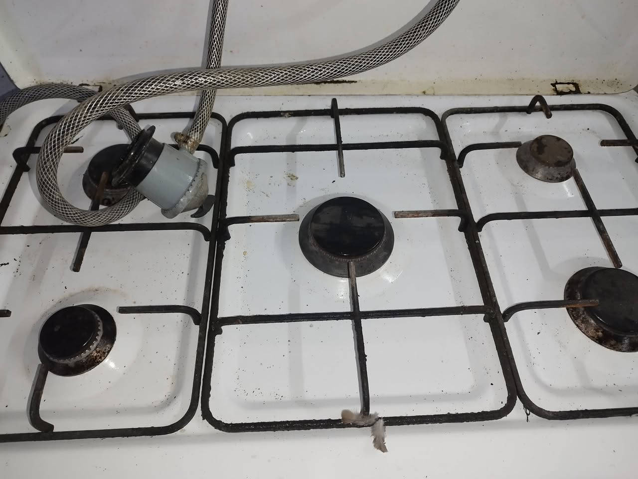 سلام عليكم سخان جديد غير مستعمل حجم وسط سعر 55الف 
غساله ملابس مل الطفال تنشيف وغسل 35الف
طباخ شرط نضيف كامل 20الف هاذا رقمي ***********
