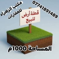 المسيب حي الموظفين • ١٠٠٠م • طابو زراعي