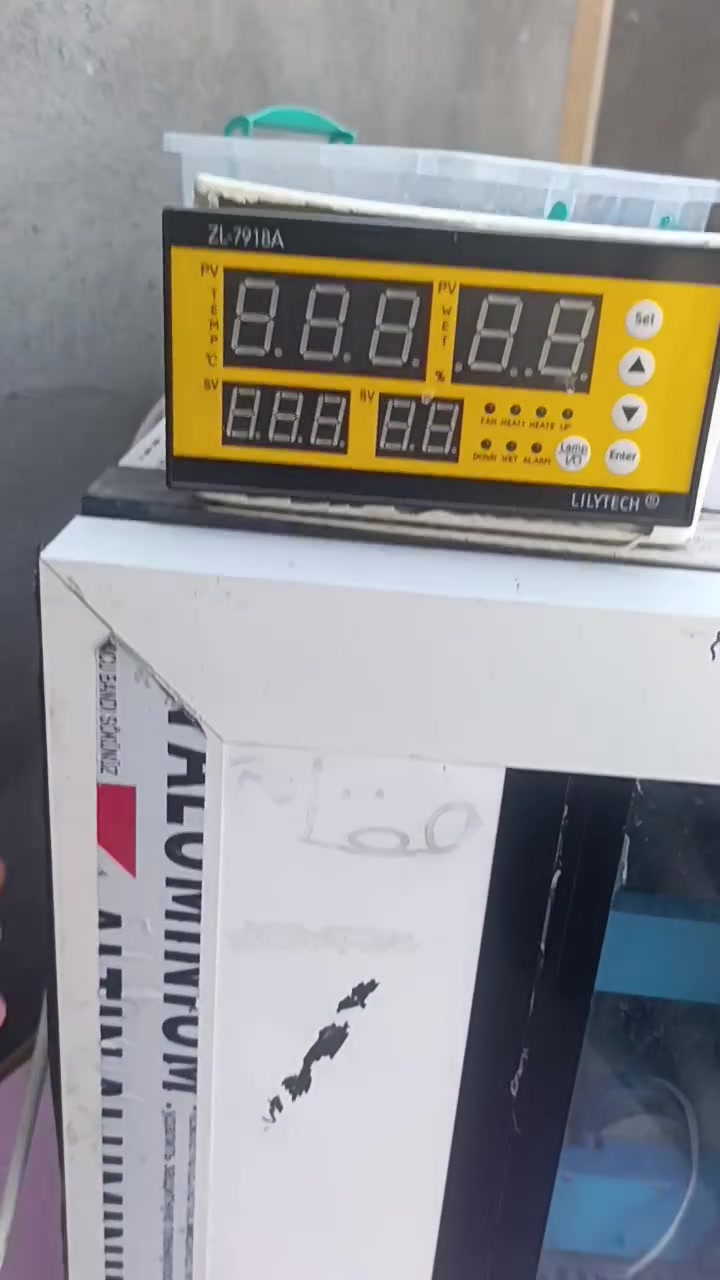 فقاسه  جاهزه  م̷ـــِْن كلشي بس تخلي بيه بيظ  وشرط التفقيس قلابين روله وسله
سعر 270  وبخدمت الشراي
***********
