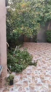 حله ورديه خارج • ١٩٤م • سند ٢٥