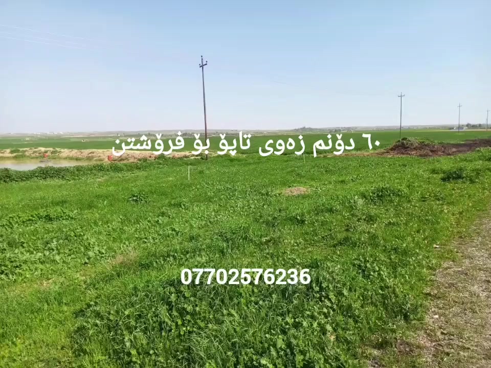 🏠 ژمارە ( 28 )
زەوی بۆ فرۆشتن
٦٠ دۆنم تاپۆ 
گوندی پرینگە
بیری اتوازی تیایە
بۆزانیاری زیاتر پەیوەندی بە
***********
واتساب📞ڤایبەر
