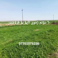 قرية پرینگە • ٦٠ دونم • طابو