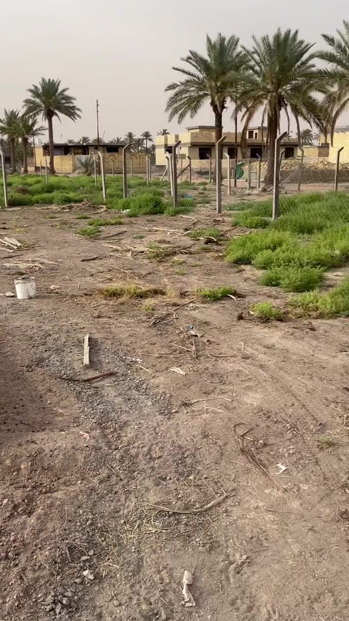 بسبب الوعود الكاذبه (اعادة نشر )
قطعة أرض للبيع 

المساحه //200 م 

الموقع // كاع السكندري خلف المدرسه 📍

السعر //24 وبي مجال بسيط 

طابو زراعي سند 25

تحويل مباشر بأسم المشتري 

خدمات متكامله 

الاستفسار اكثر اتصل او مراجعة مكتب ( البرق الهندسي)

الكائن طريق المعاره مقابيل الغسل 

***********

***********
