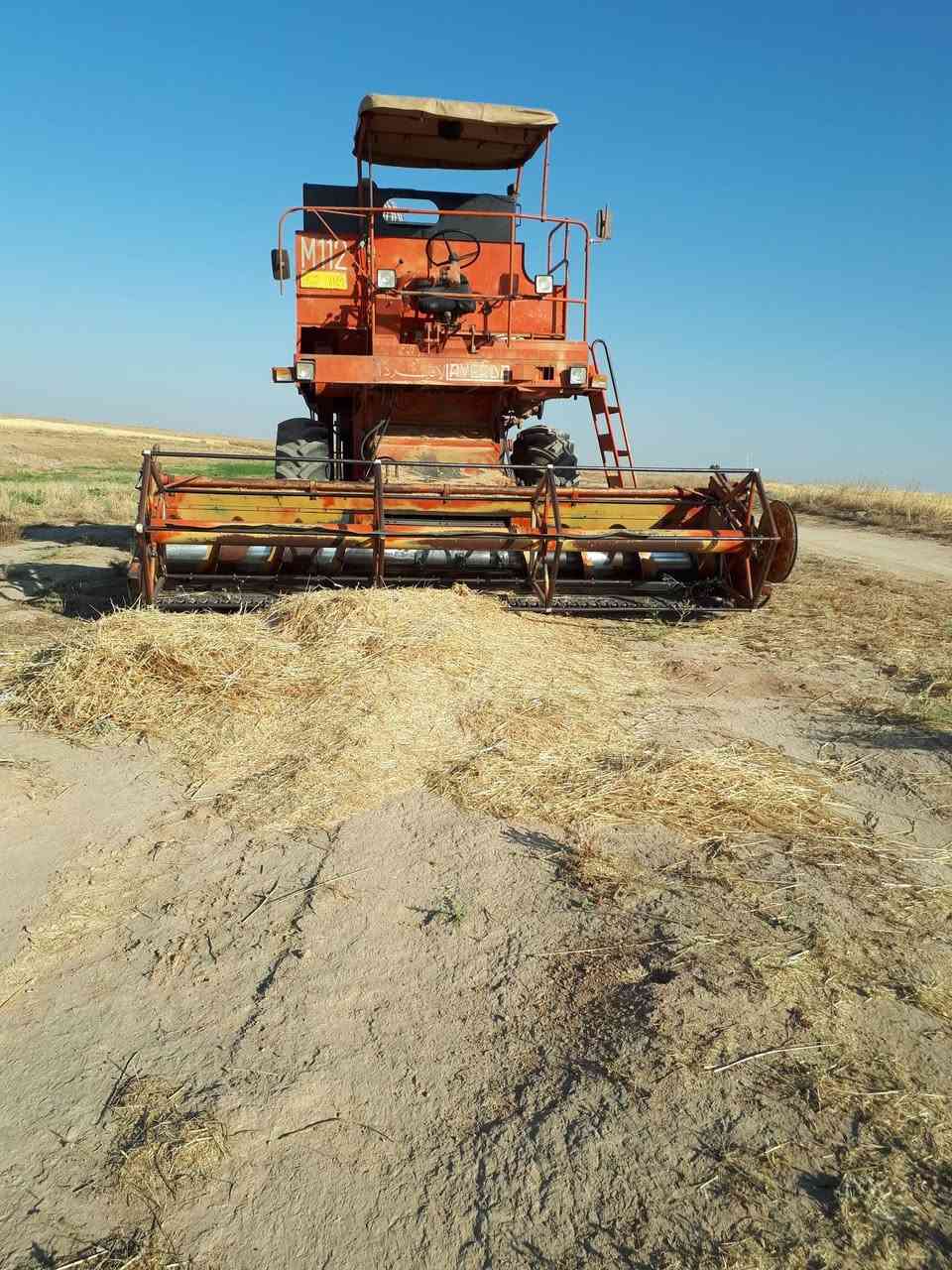 حاصودة لافردة اربع بلم للاستفسار على رقم ***********اسيا***********
