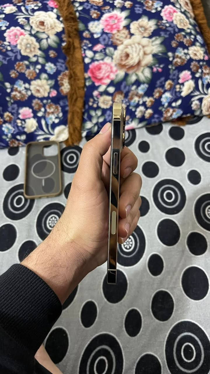 السلام عليكم 
جهاز ١٣ برو ماكس لون ذهبي للبيع نضافه ١٠٠/١٠٠ الشاصي مرايه شخط واحد مابي بطاريه بلاديه اي صرف مابي جهاز اخو الجديد تاخذه تفحص وين ميعجبك للاستفسار اكثر  متواجد خاص او واتساب *********** واتساب فقط
