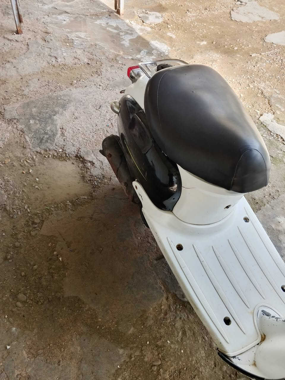 السلام عليكم دراجه كلاسك للبيع نكره وحده سلف وهندر مكينه ناعمه    دراجه شلعتها حلوه وخير من الله سعرها 350 مكان المحموديه


**إذا كنت صاحب هذا الإعلان وتريد حذفه لأي سبب، رجاءا أرسل رسالة إلى الدعم الفني**