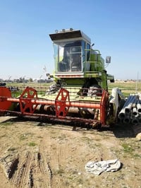 كلاس 1991 • رقم صلاح الدين • معمرة كامل