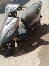 ثعلب • نوزل • الحريه