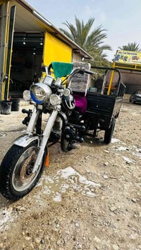 ستوتة • موديل 12 • اوراق اصولي