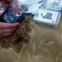 بضاعة أوربي • جديد • شهداء البياع