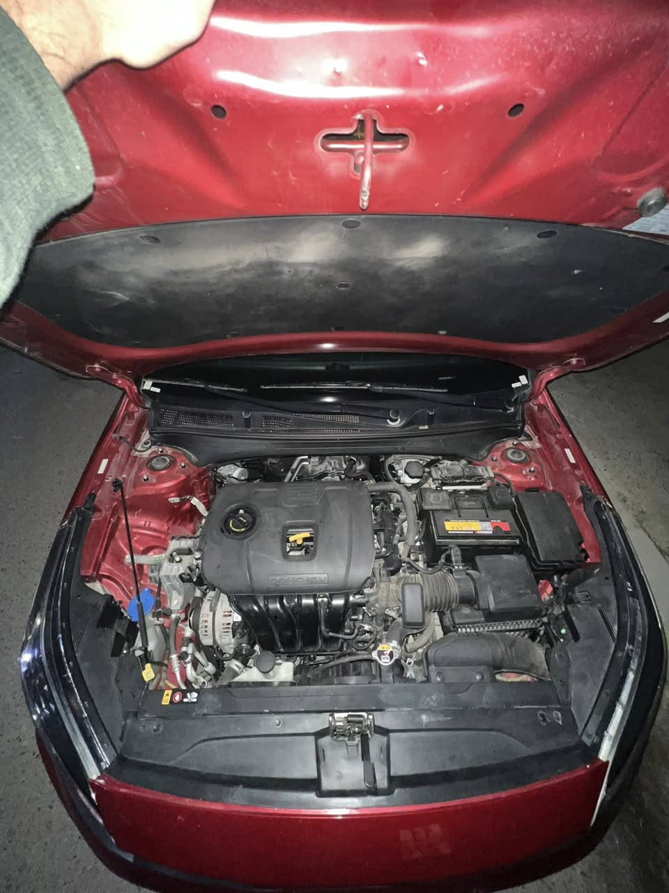 السلام عليكم فورتي موديل 2024 سيارة خيره من الله ماشيه 28 بسمي السيارة حادثه موضح بل صور وبل عراق صاير بيه باب وجاملغ صبغ هم موجوه ضربه بل منشور حادثه مال امريكا جاملغ بارد وبنيد صبغ الشراي يتصل السعر 153 وبيه مجال قليل محتاج عليه مكاني بياع تقاطع درويش ***********
