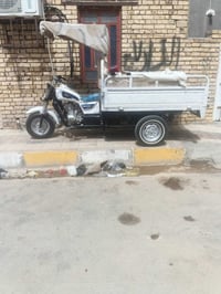 ستوته • كلك كلك • ٢٠١٩