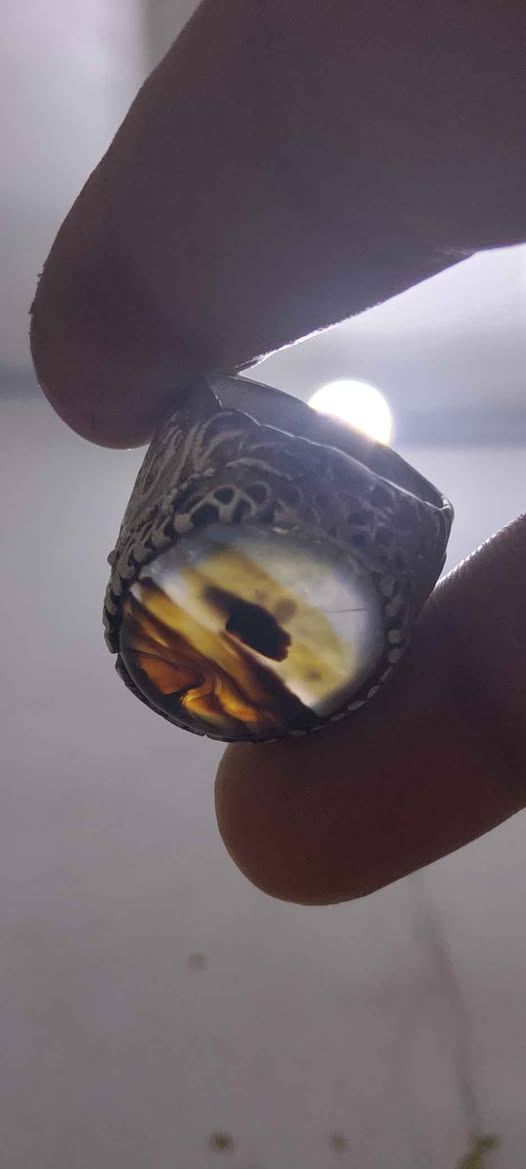 محابس فضه925 مختوم 
وثاني نحاس أصلي 
عملات قديمه كلهم سعرهم30 البصرة, العراق


**إذا كنت صاحب هذا الإعلان وتريد حذفه لأي سبب، رجاءا أرسل رسالة إلى الدعم الفني**