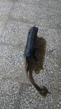 غراض ماكس • بلاش