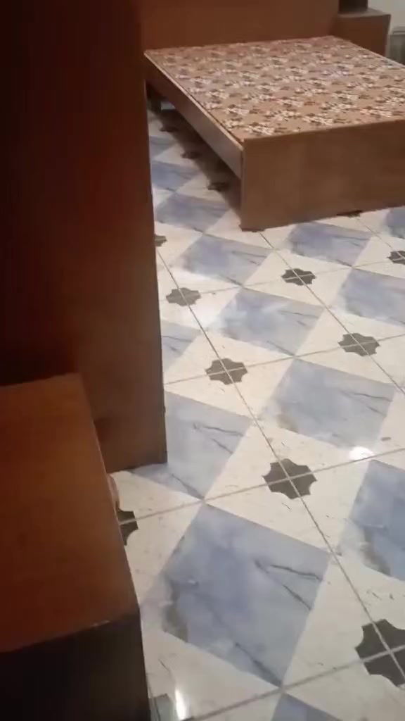 سلام عليكم غرفه نوم للبيع جدآ نظيفه السعر 750


**إذا كنت صاحب هذا الإعلان وتريد حذفه لأي سبب، رجاءا أرسل رسالة إلى الدعم الفني**