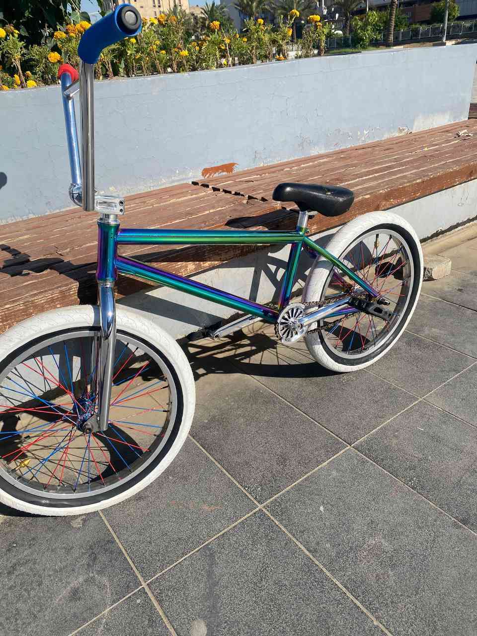 للبيع bmx  نفس ما شوفون قطعه نادرة تخبل عليه غراض يخبلن
تفاصيل 
طواكه شادو 
طوبه امامي شادو 
طوبه الخلفي أوتو شادو
ركبه ساندي 
سكان أربع قطع استيل 
كفات كولت 
ذراعات شادو 
قرص مدرع شادو
سرج.كولت 
حمالات شادو استيل 
ماشه كولت 
كل قطع لي ذكرتهم مختمات 

👇👇
بغداد بلديات ***********
