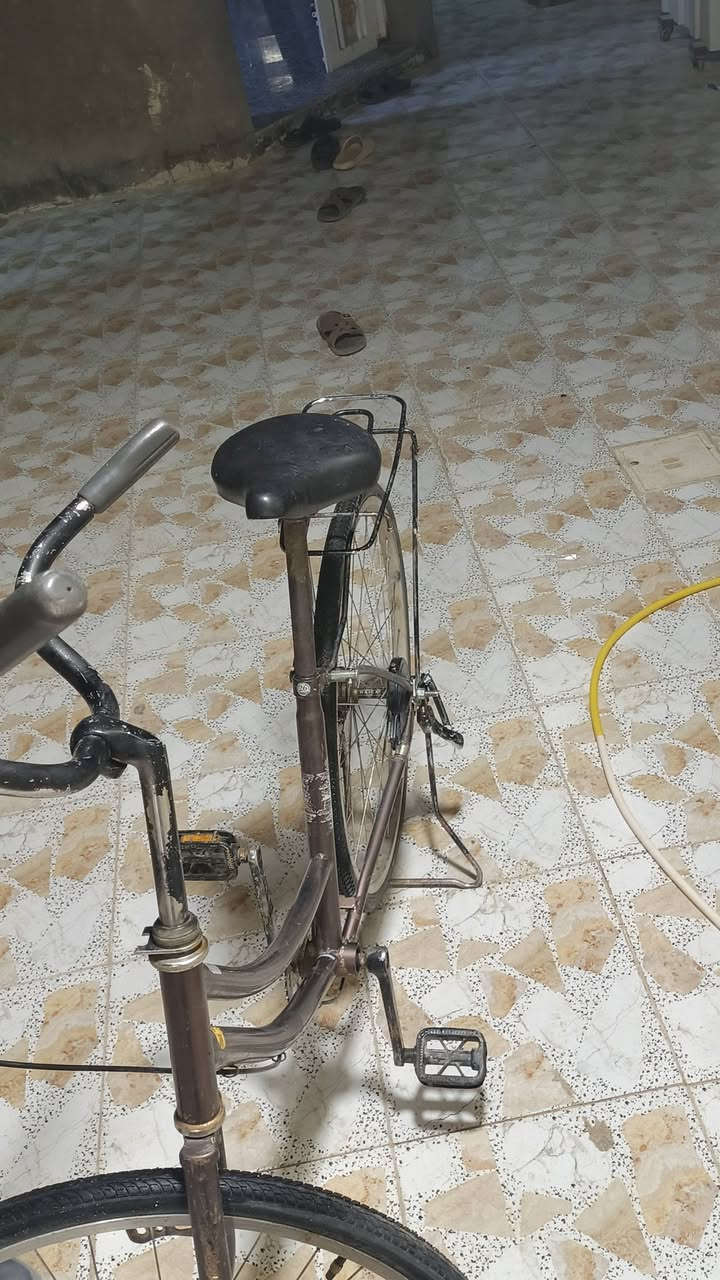 السلام عليكم بايسكل للبيع سعر 70 بي مجال


**إذا كنت صاحب هذا الإعلان وتريد حذفه لأي سبب، رجاءا أرسل رسالة إلى الدعم الفني**