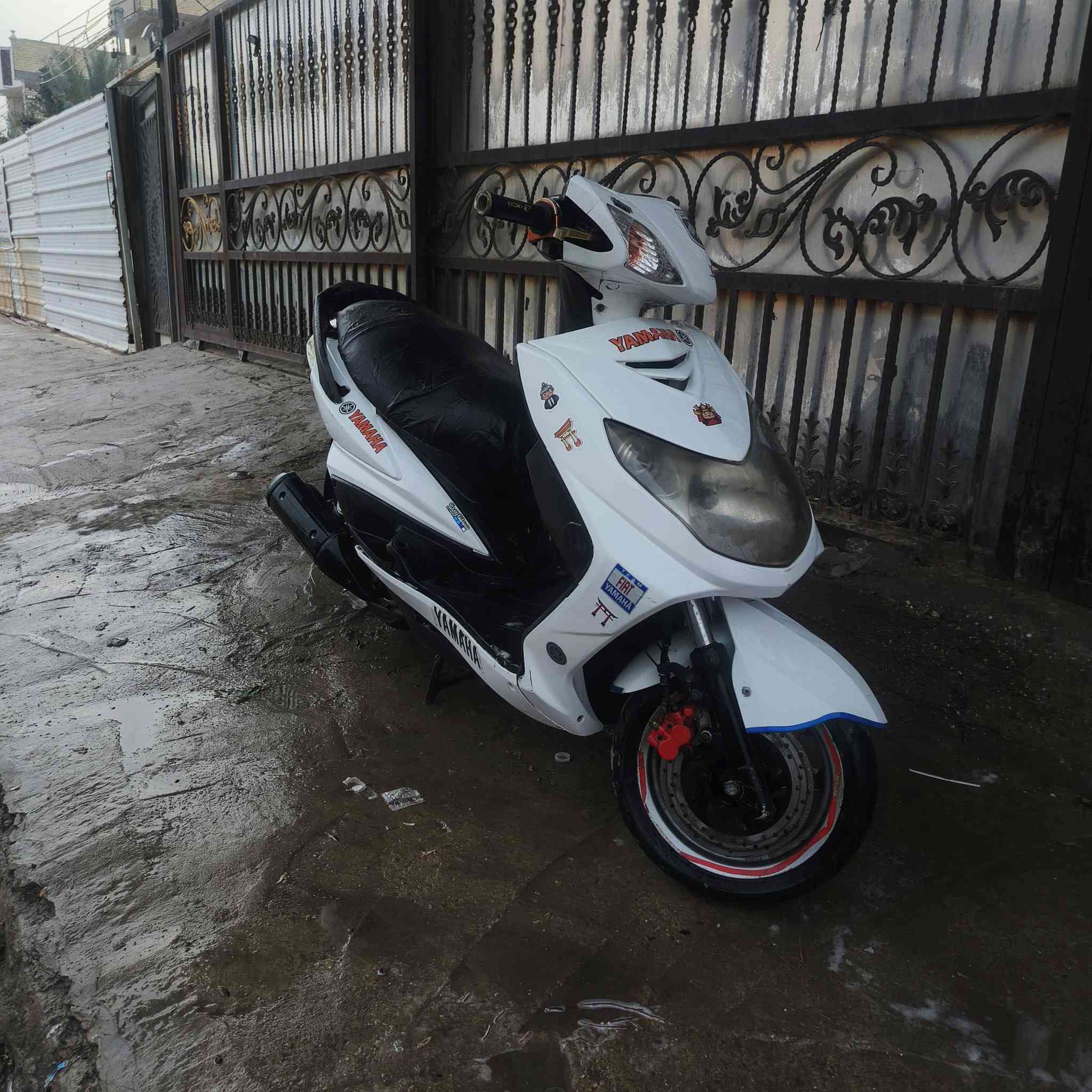 السلام عليكم سكنس فحل مكفولة دراجة مكينته ناعمه كلش سلف وهندر مكينته خرسة كلش كهربائيات كلها شغالة اشاير بكلايت مازدة دشبول مكاني بغداد الشعب سعر الدراجة 400 وبيها مجال رقمي ***********
