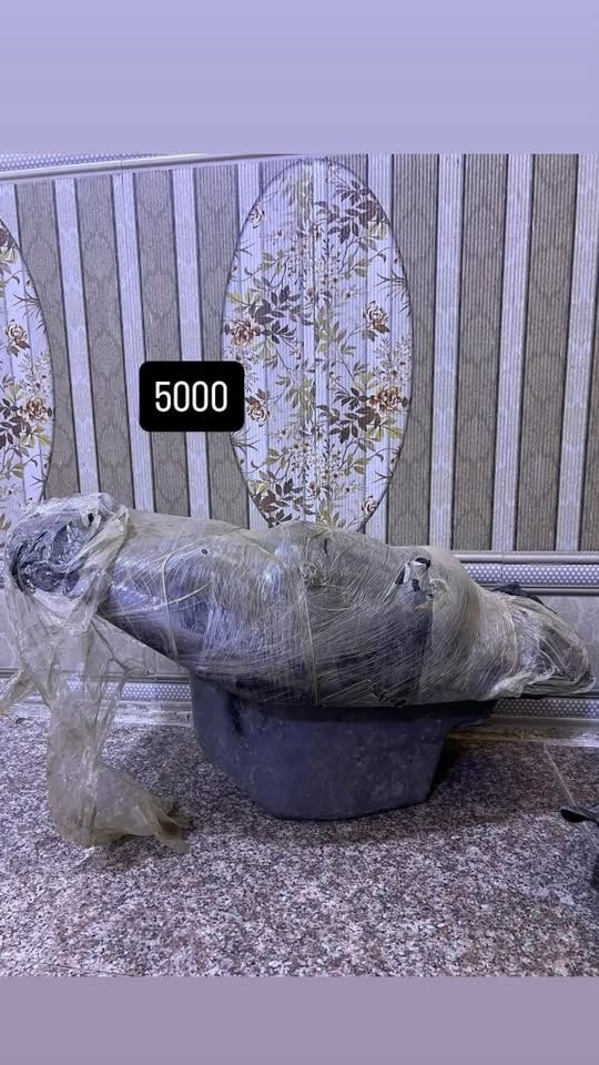غراض فراشة تفصيخ
كل قطعة وسعرهة مكتوب بالصورة 
واليريدهن شلع احسبهن بسعر مناسب 
التواصل واتس اب ***********
العنوان بغداد توصيل موجود
