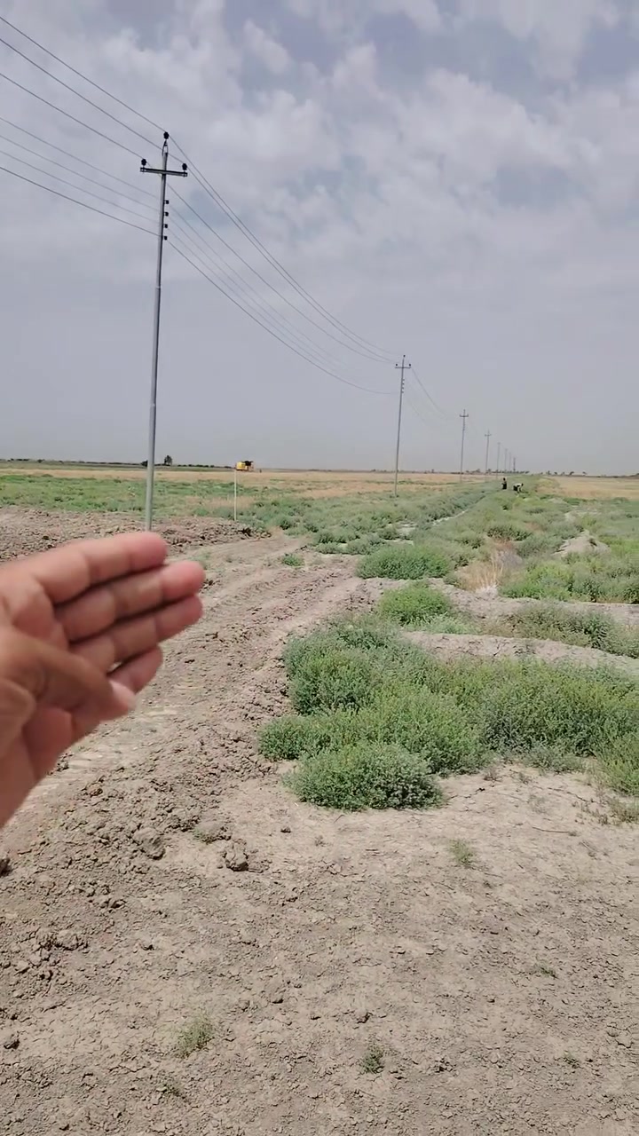 تفاصيل الارض داخل الفيديو
للاستفسار التواصل معي على الرقم التالي
*********** اتصال + واتساب
