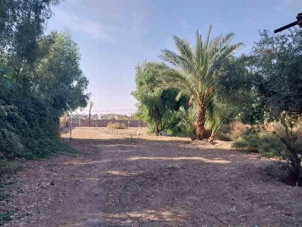 #ارض_شاطيه_مركز_الحله_
فرصة أستثمار ارض تجاريه ركن على شط الحله مساحة ١.٥٠٠ متر.
 الواجه ١٨ متر على الكورنيش الجديد والنزال ٧٥ على الفرع
تحتوي على كافة الخدمات  ومسيجه وتحتوي على اشجار ونخيل وتبعد عن الشط ٥٠ متر
العنوان:- بين جسر بته وقرية الجمجمه على شارع الكورنيش الجديد.
***********
