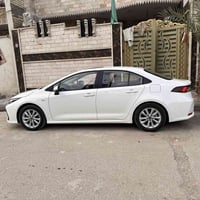 كورلا خليجي • فتحه جلد • ٢٠٢٥