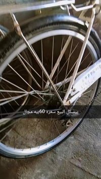 بيسكل • سفان