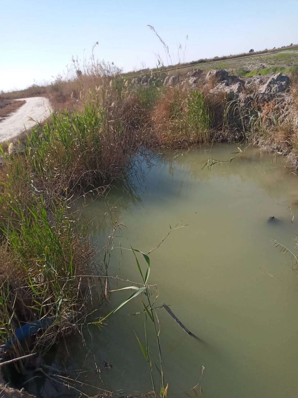 السلام عليكم ٢دونم للبيع مع ٤٦ نخله حماله مع ماطور سقي على ثلاث شوارع  منطقه ام الحلان قريبه إلى الخدمات.السعر الدونم الواحد ٢٥ مع المجال قليل***********
