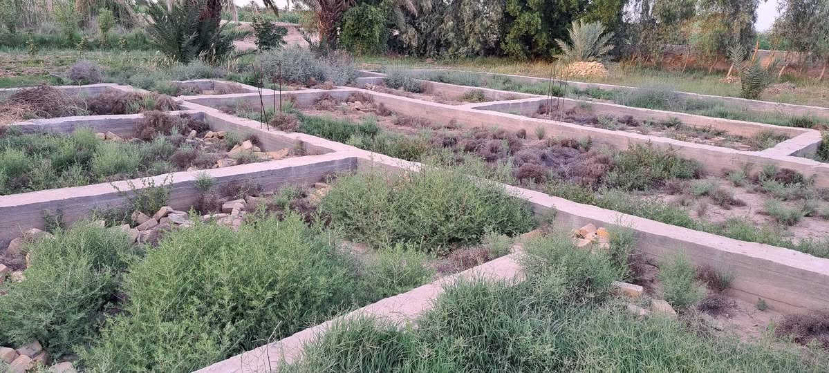 مزرعة(٤)دونم مع بيت سكن متكون من أربع غرف نوم وديوانيه
+ محصار عجول كبير 
العنوان الرفاعي قرب ناظم رقم (٤)
الستفسار ع الرقم صاحب المزرعة 
***********
