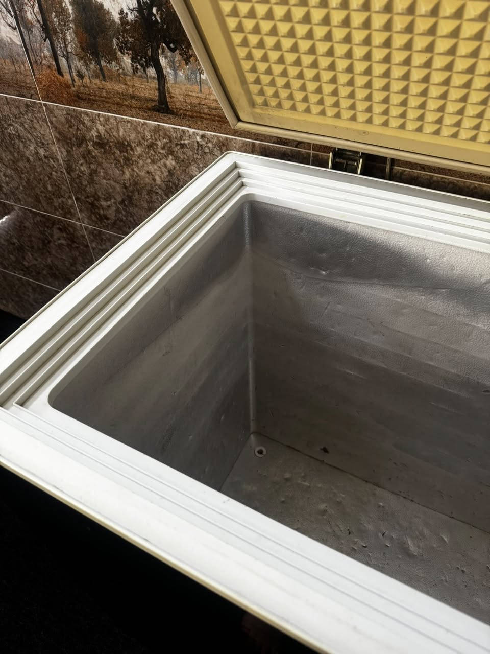 السلام عليكم مجمده للبيع اي عيب مابيها حجم كبير قيموها بسعركم إذا عجبني أبيعها


**إذا كنت صاحب هذا الإعلان وتريد حذفه لأي سبب، رجاءا أرسل رسالة إلى الدعم الفني**