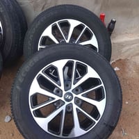 ويل كب ١٧ • كشن ملكي • بصره كرمه علي