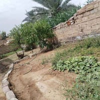 بيت للبيع مسحه ماعرفها بس كبيره البيت قرفتين نوم وستقبال ومطبخ الشراي ...