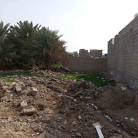 أرض زراعي • سند ٢٥ • ١٦٥م