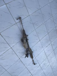 مشط كونكس 2021 • جديد • الحمزه الغربي