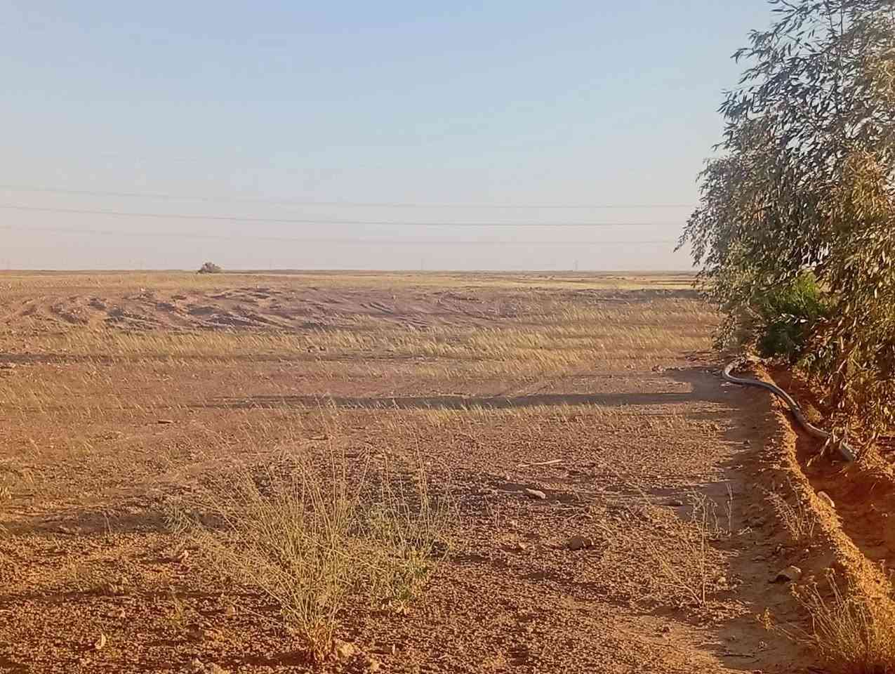 للبيع 245 دونم زراعي لزمه الواجهه 236 والنزال 2400 متر الموقع مباشرة على الشارع العام المنطقة شرق مدينة البغدادي منطقة البيادر تبعد عن سيطرة البغدادي حوالي عشرة كيلومترات اكرر مباشرة على الشارع العام عمق بير الماء من 65-70 متر الماء حلوا التربه خصبه جدا وصالحه للزراعه سعر الدونم350  الف   واي سؤال عالخاص او الرقم 
 ***********..وادناه صور الارض الزراعيه...
