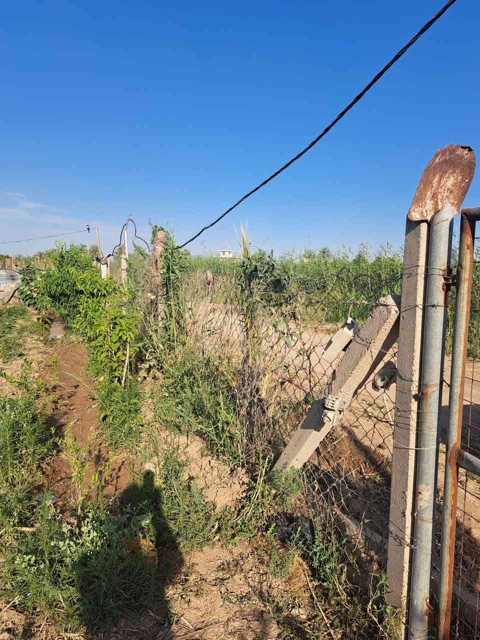 السلام عليكم اصدقائي يتوفر لدينا قطعة أرض زراعية للبيع مساحتها نصف دونم الةمزروعة بستان مشكل كل أنواع الفواكه والحمضيات ومسيجة بيارسي الكهرباء باب البستان والبستان تشرب مي حلو نهر ،الواجهه ٢٠م تقع في بداية  مدخل ٣ خلف البيت الوردي ولها طريق اخر قبل ما توصل مدخل ٣ وي النهر تفوت عليه مكان كلش حلو ترهم منتجع او حديقة عائلية لمعرفة تفاصيل أكثر اتصل على مكتب المعمار للعقار ودلل ***********
