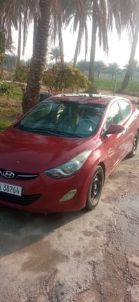 النترا • ٢٠١٣ • مصبوغة