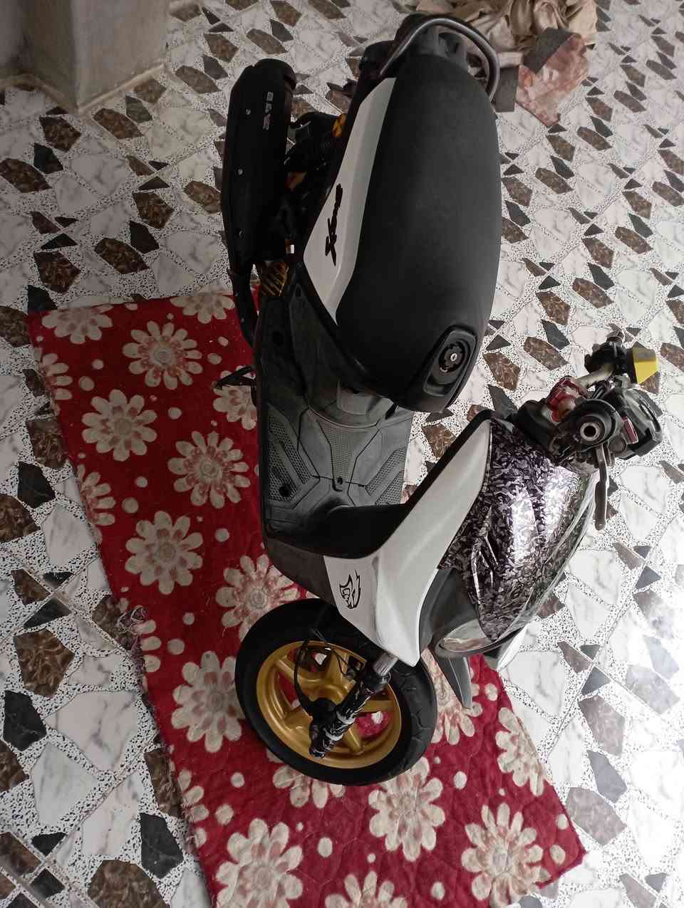 السلام وعليكم سكنس جبلي للبيع استفسار خاص ***********
