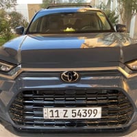 كراند هايلاندر • XLE هايبرد • حادث