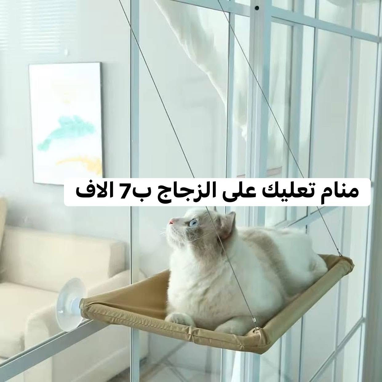 منامات باحجام مختلفة والوان واشكال 
والااسعار تختلف تبدي من 5 الاف الى 15 الف حسب الشكل والحجم
المكان سبع ابكار
التوصيل متوفر داخل بغداد وجميع المحافظات


**إذا كنت صاحب هذا الإعلان وتريد حذفه لأي سبب، رجاءا أرسل رسالة إلى الدعم الفني**